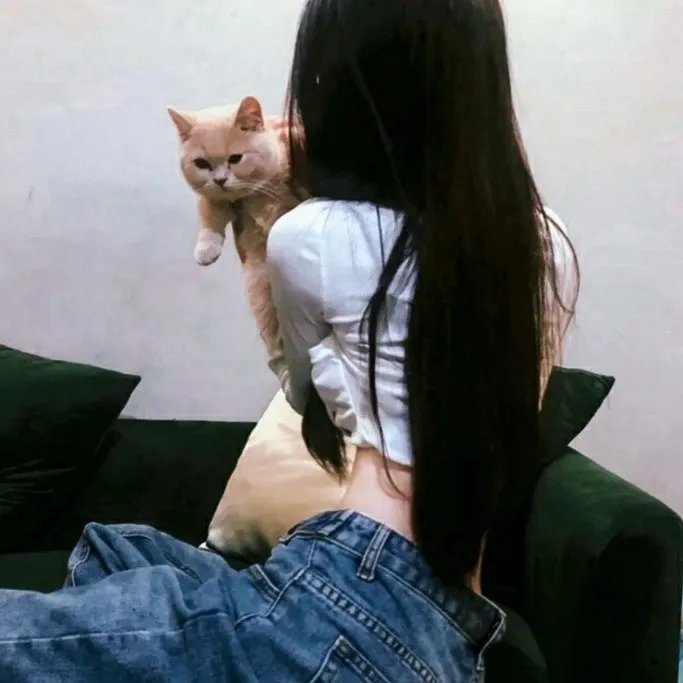飞行之翼